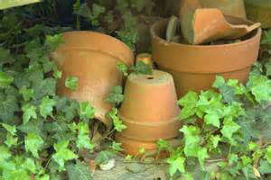 clay pots